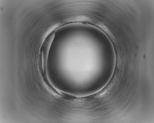 X0000068270850200604211108