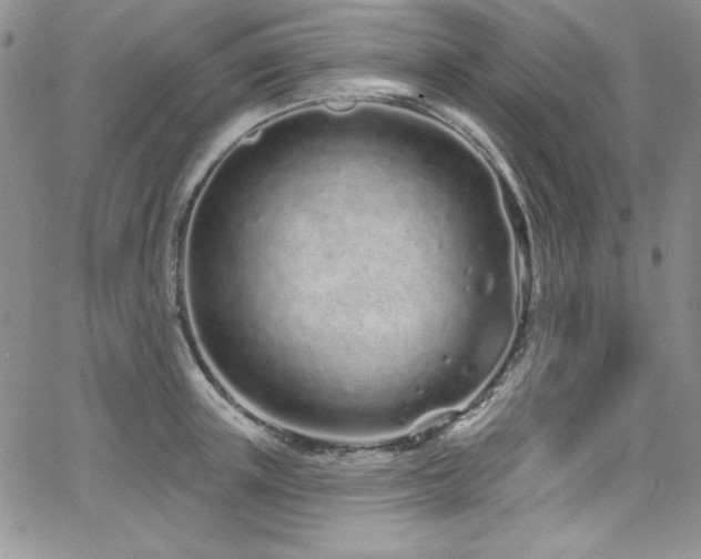 X0000068270851200604211108