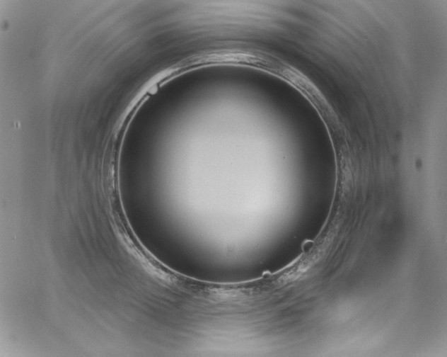 X0000068270852200604211108