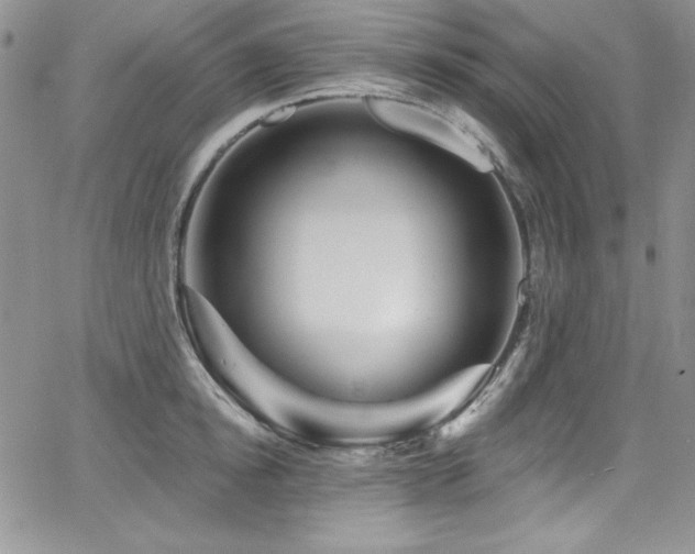 X0000068270854200604211108