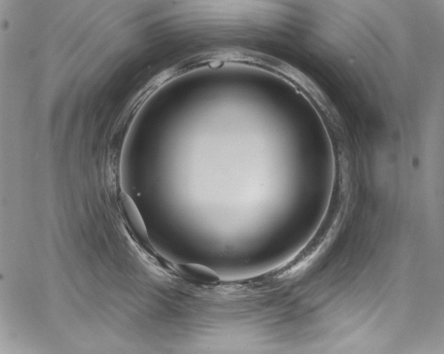 X0000068270857200604211108