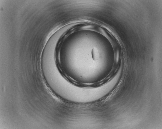 X0000068270858200604211108