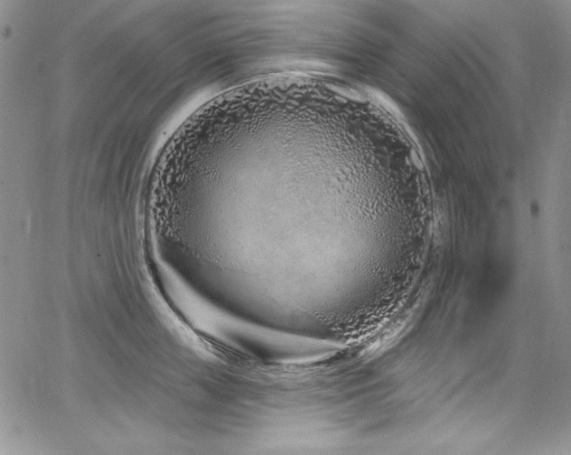 X0000068270859200604211108