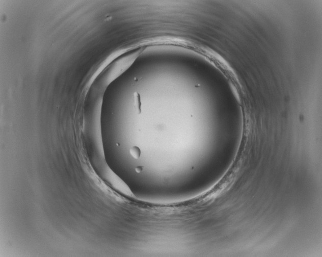 X0000068270860200604211108