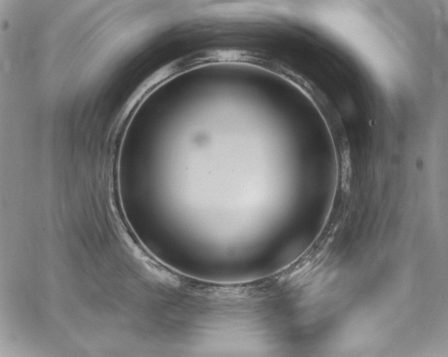 X0000068270861200604211108