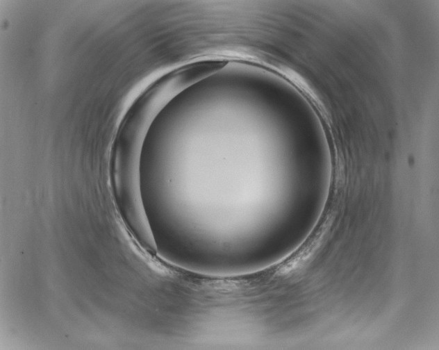 X0000068270862200604211108