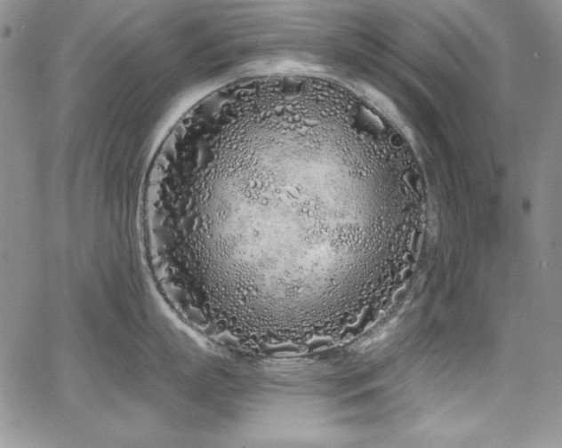 X0000068270863200604211108