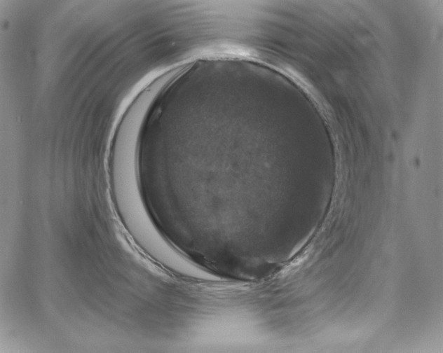 X0000068270864200604211108