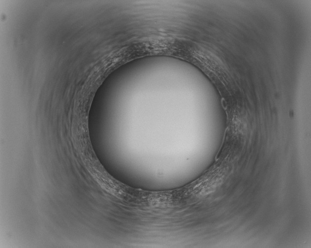 X0000068270865200604211108