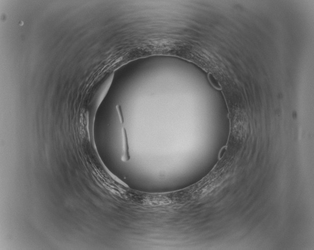 X0000068270866200604211108