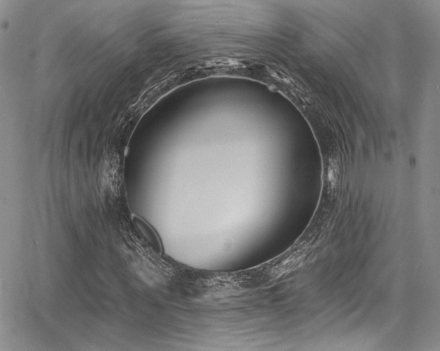 X0000068270867200604211108