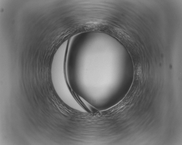 X0000068270868200604211108