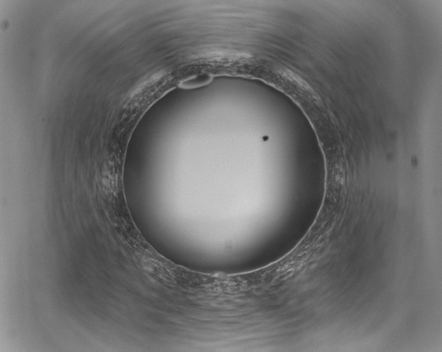 X0000068270869200604211108