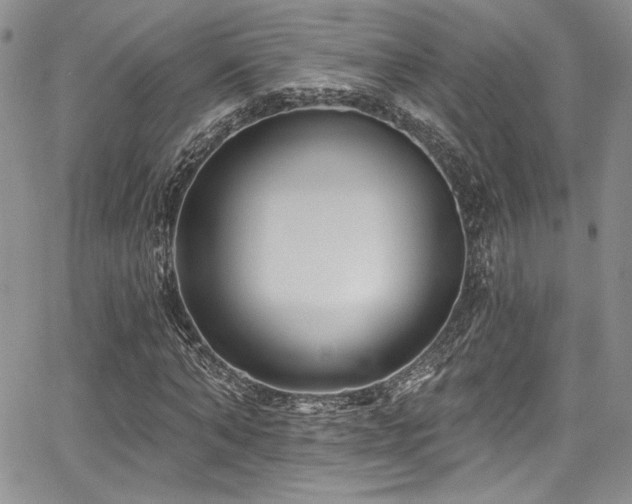 X0000068270870200604211108