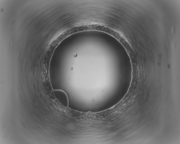 X0000068270871200604211108