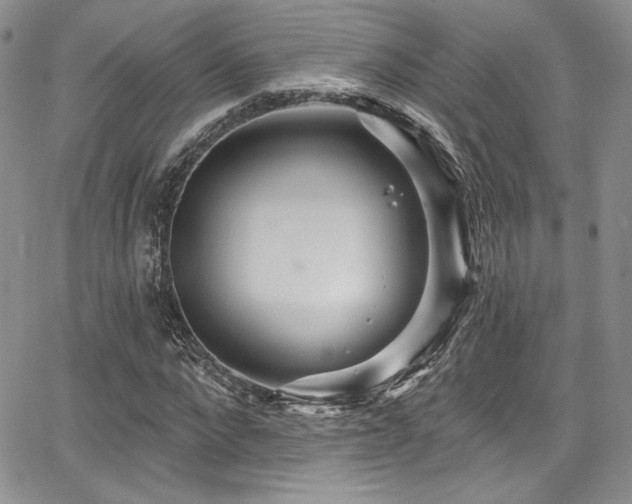 X0000068270872200604211107