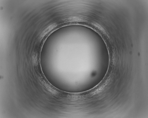 X0000068270873200604211107