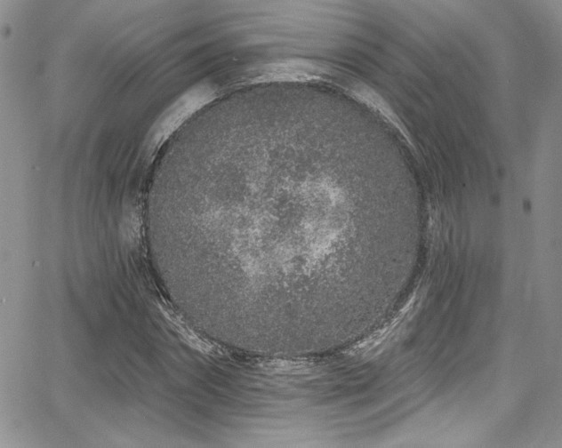 X0000068270874200604211107