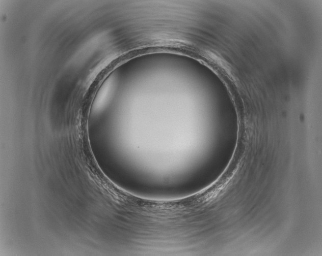 X0000068270875200604211107