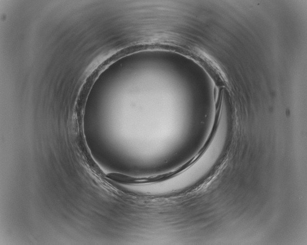 X0000068270876200604211107