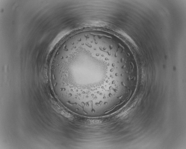 X0000068270878200604211107