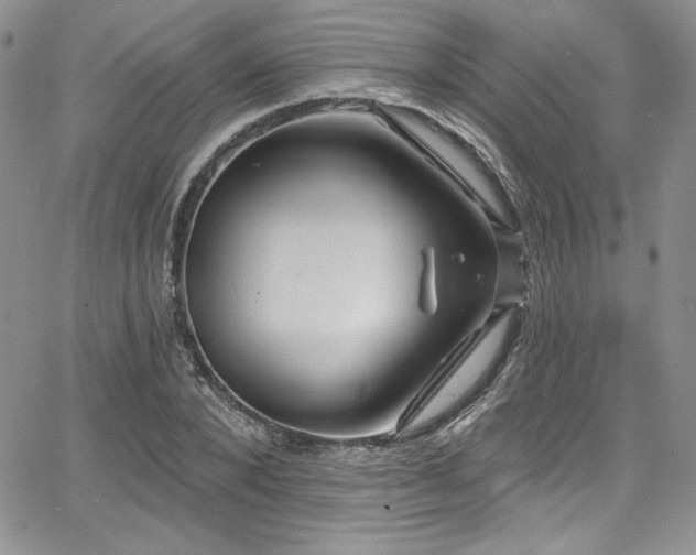 X0000068270880200604211107