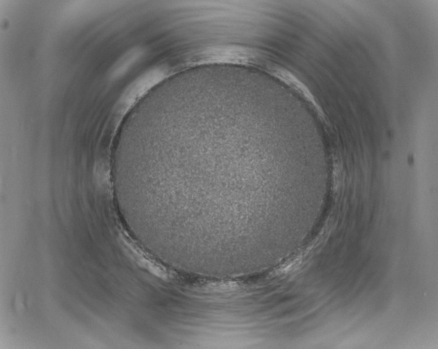 X0000068270882200604211107