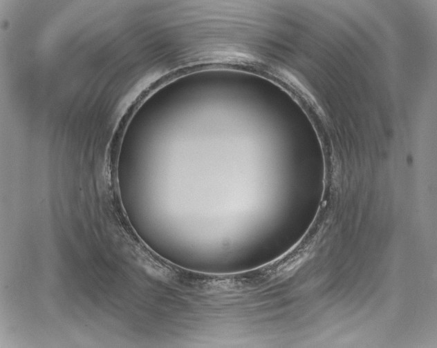 X0000068270883200604211107