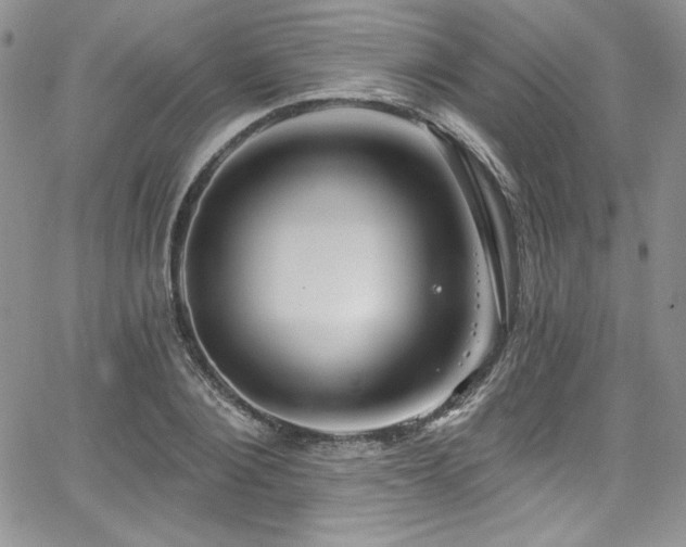 X0000068270884200604211107