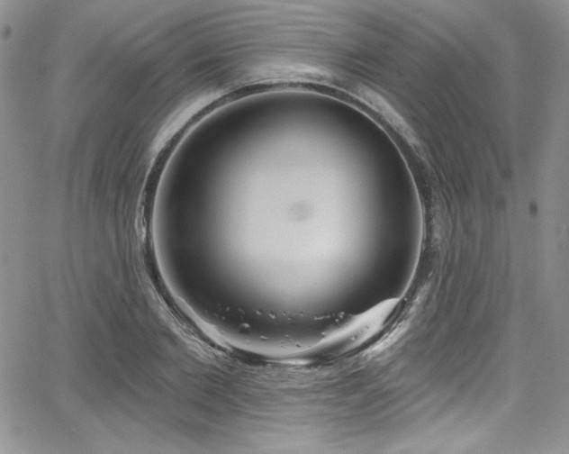 X0000068270885200604211107