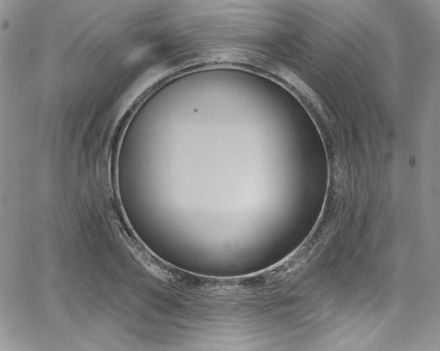 X0000068270886200604211107