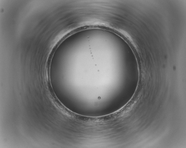 X0000068270887200604211107