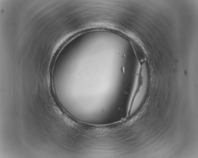 X0000068270888200604211107