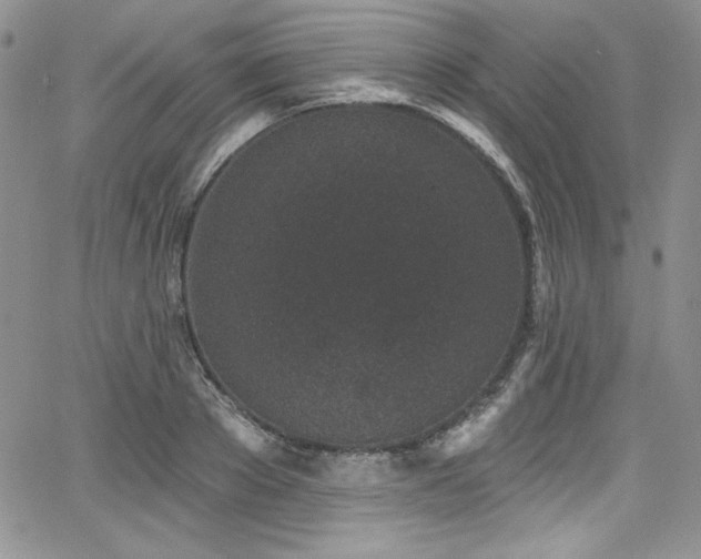 X0000068270889200604211107