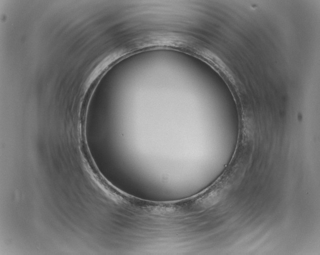 X0000068270890200604211107