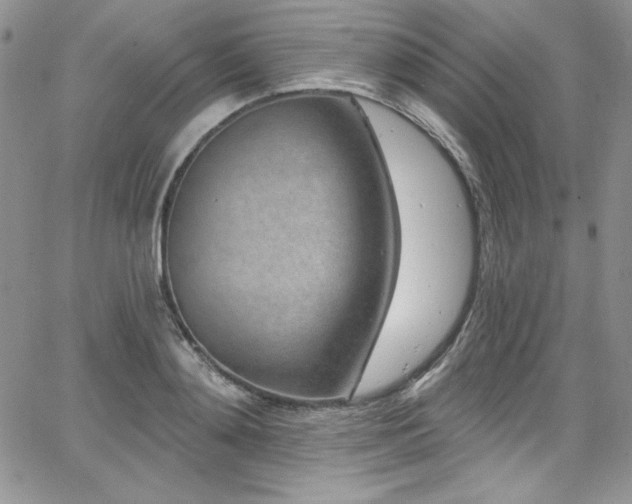 X0000068270892200604211107