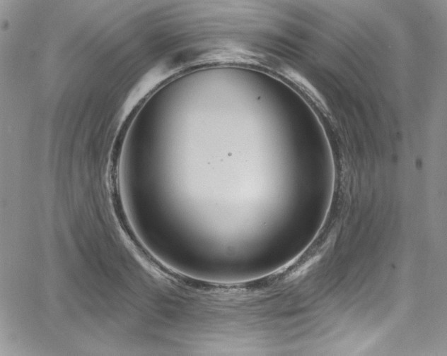 X0000068270893200604211107