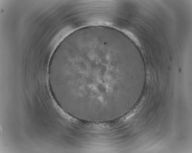 X0000068270895200604211107