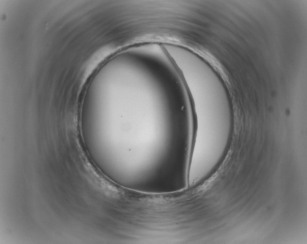 X0000068270896200604211107