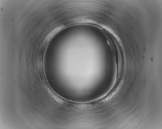 X0000068270897200604211107