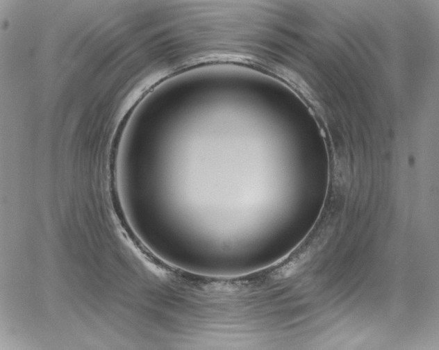 X0000068270898200604211107