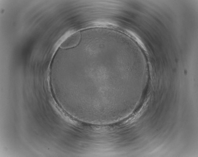 X0000068270899200604211107