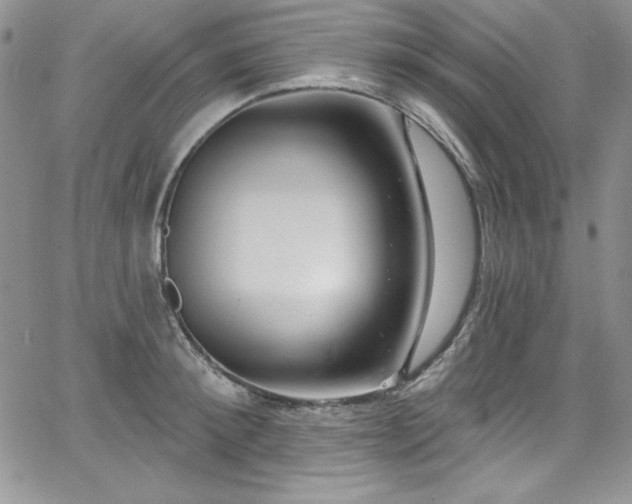 X0000068270900200604211107