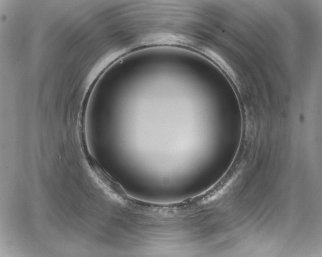 X0000068270901200604211107