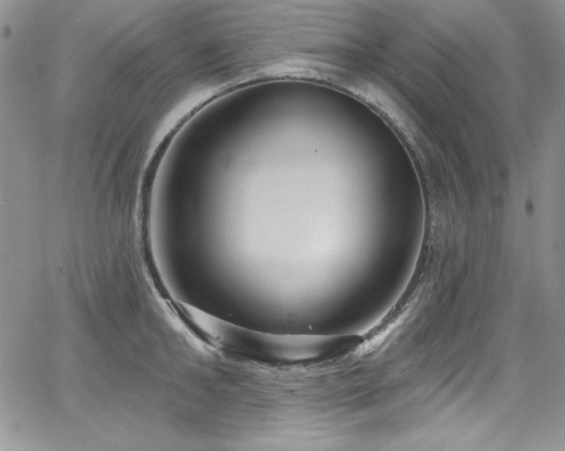 X0000068270902200604211107