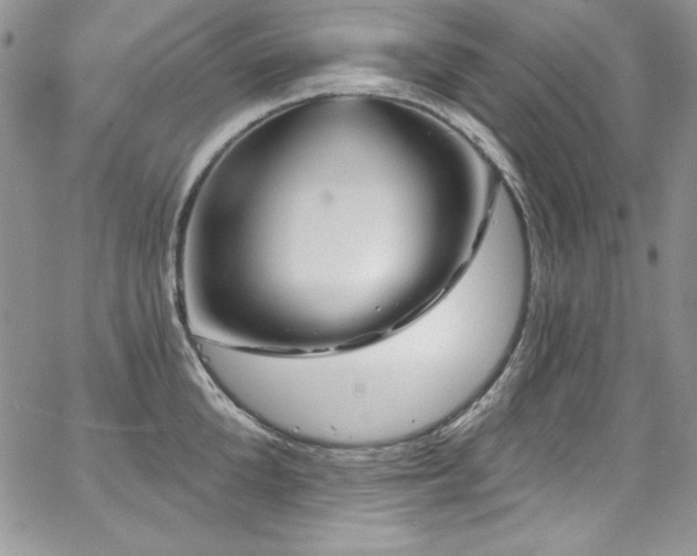 X0000068270904200604211107