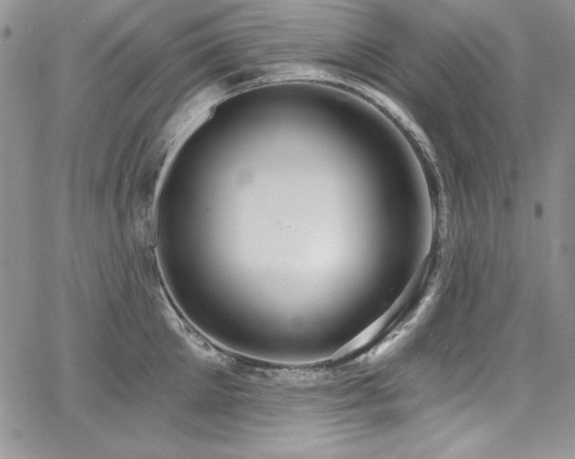 X0000068270905200604211107