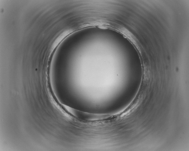 X0000068270906200604211107