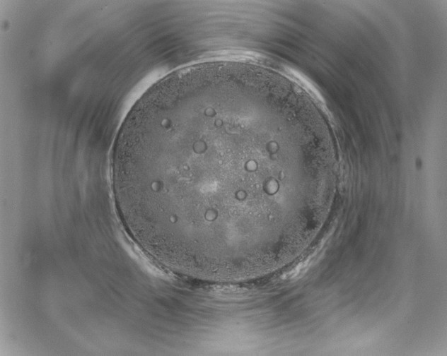 X0000068270907200604211107