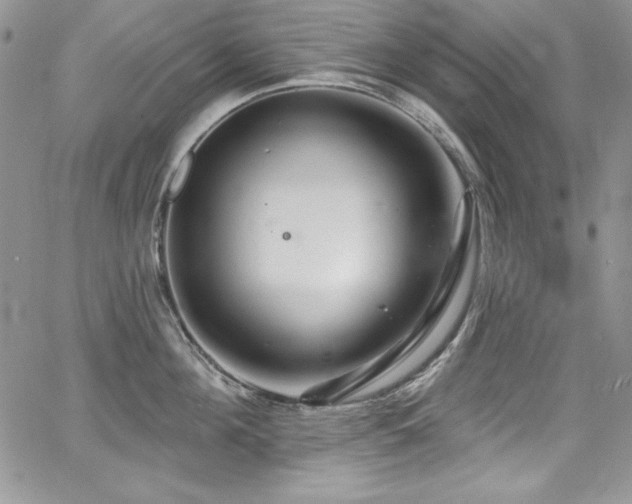 X0000068270908200604211107